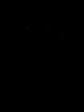 LAN69XXXX online show from March 25, 7:35 pm