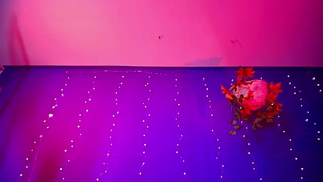 vanelope11 online show from December 21, 8:05 am