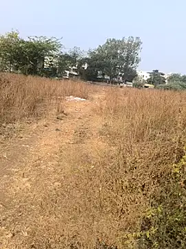 Snapshot of Abinash7732 chatting on January 14, 3:53 am Abinash7732 online show from January 14, 3:53 am