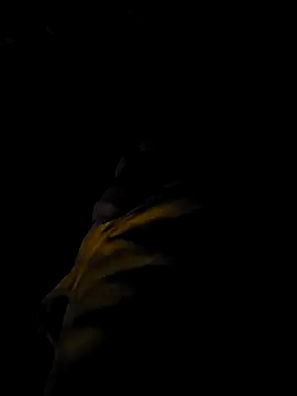 Feelixbi99 online show from March 9, 8:12 pm