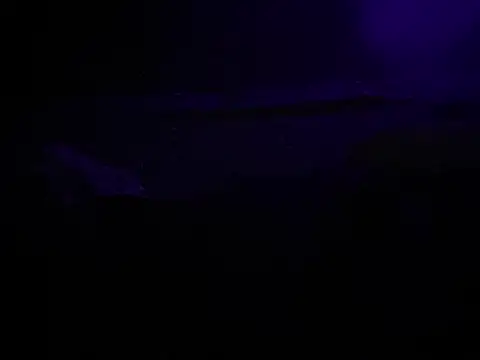 BigMac1596 online show from October 25, 4:44 am