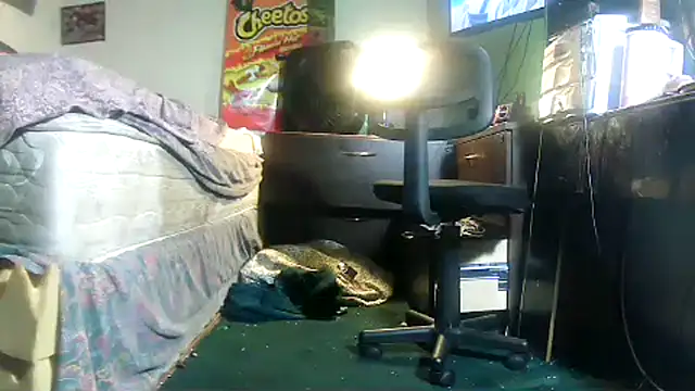 HBYAM online show from February 23, 11:44 am