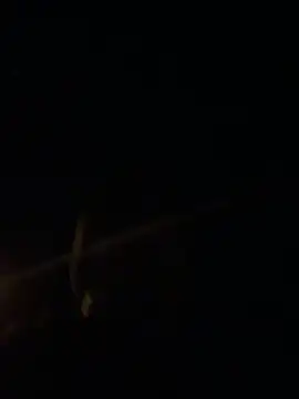 big cock is back online show from March 1, 7:25 pm