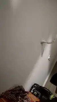 sids0 online show from January 27, 4:54 pm