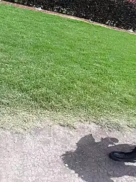 sophie banger online show from November 4, 4:11 pm