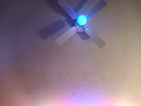 big8dall online show from February 15, 2:05 pm