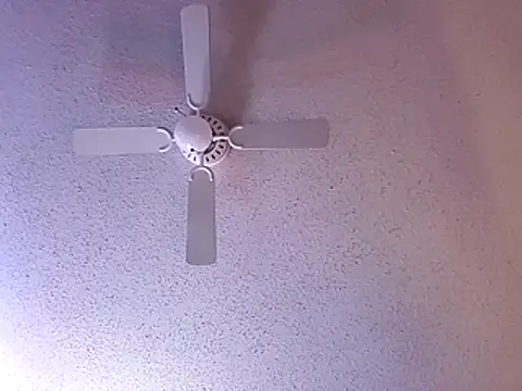 big8dall online show from December 20, 6:27 am