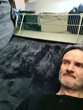 big8dall online show from March 26, 3:49 am