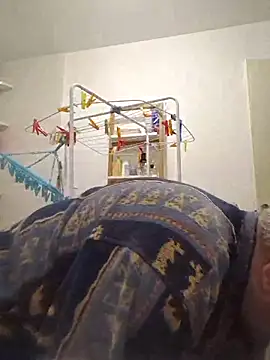 Bretoncool online show from November 15, 1:26 pm