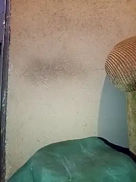 Snapshot of Thickcockzivyy chatting on February 20, 12:40 am Thickcockzivyy online show from February 20, 12:40 am