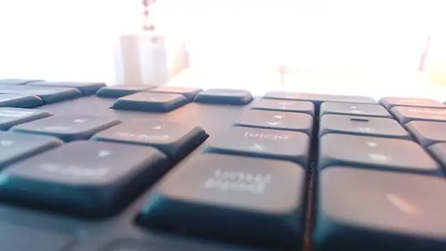 Molly Spears online show from March 14, 11:45 am