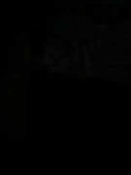 tran3 online show from September 12, 10:31 pm