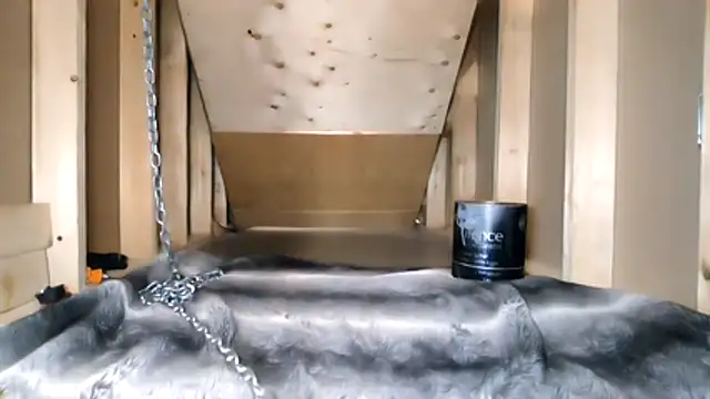 cbtbetaloser online show from February 17, 5:16 am