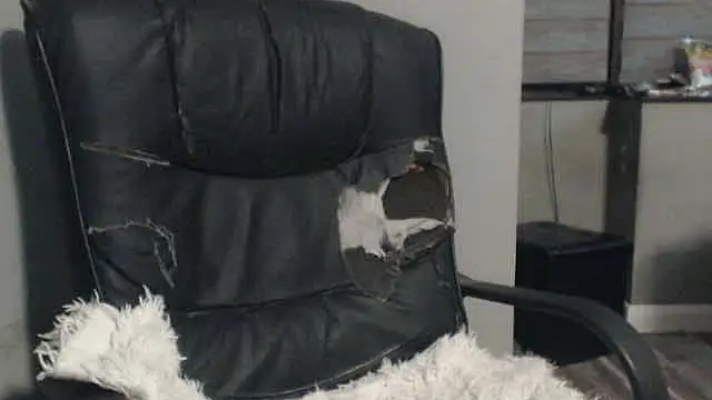 Snapshot of sexyfuckers chatting on October 28, 3:07 am sexyfuckers online show from October 28, 3:07 am