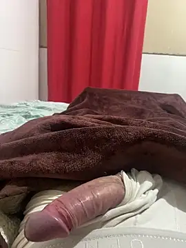 novinhoroludo8 online show from April 28, 12:09 am