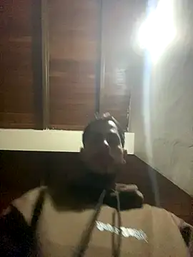 Dalton oficial online show from January 6, 12:36 am