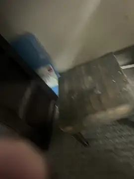 Firedad72FD online show from February 10, 9:14 am