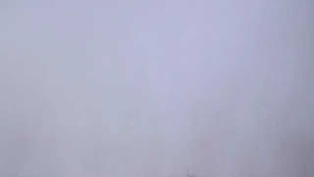 SusanLeroy online show from April 10, 11:28 am