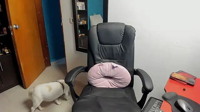 peanut tangerine online show from January 9, 11:55 pm