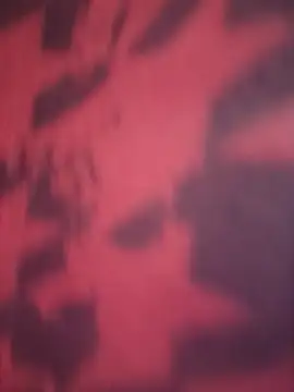 77fuckerboy  online show from December 3, 3:18 am