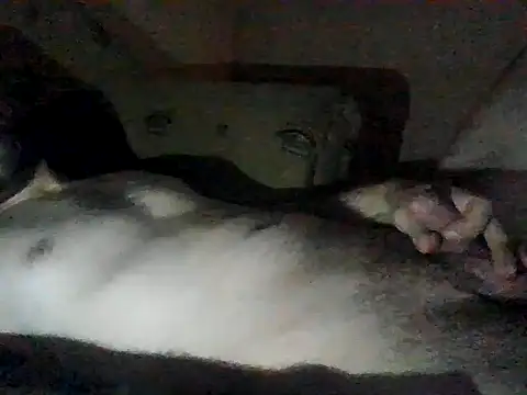 Snapshot of Vicktore007 chatting on September 13, 9:37 pm Vicktore007 online show from September 13, 9:37 pm