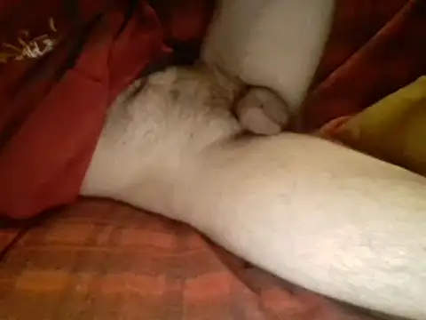 Ariete80s online show from March 10, 6:16 am