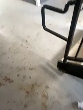 Snapshot of zeekBbc chatting on February 26, 9:26 pm zeekBbc online show from February 26, 9:26 pm