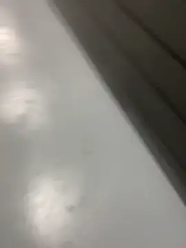 Snapshot of zeekBbc chatting on October 25, 1:38 am zeekBbc online show from October 25, 1:38 am