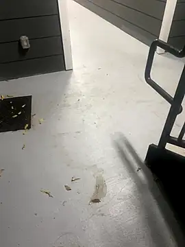 Snapshot of zeekBbc chatting on November 16, 10:53 am zeekBbc online show from November 16, 10:53 am