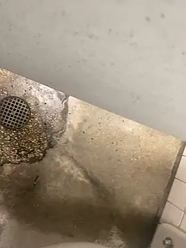 Snapshot of zeekBbc chatting on December 10, 8:38 pm zeekBbc online show from December 10, 8:38 pm