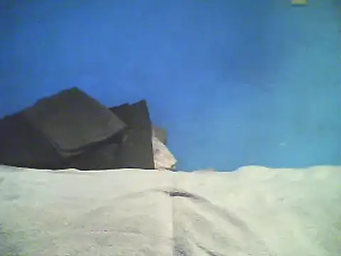 Vago745 online show from December 2, 10:46 am