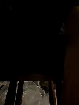 portugadopau online show from November 23, 7:46 pm