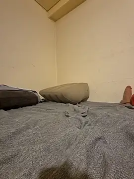 fox--3 online show from February 10, 4:55 am