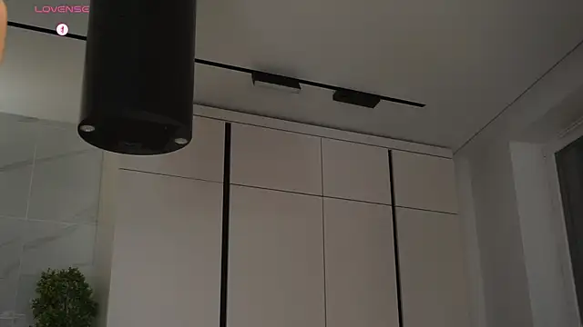 hecola online show from November 11, 2:23 pm