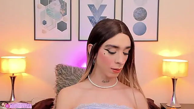 Snapshot of ariivega chatting on January 25, 10:28 pm ariivega online show from January 25, 10:28 pm