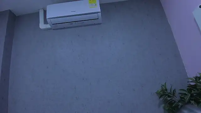 Tiffany mendez online show from December 3, 12:04 pm