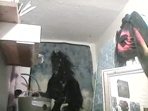 Snapshot of lilbishmiss chatting on February 13, 10:12 am lilbishmiss online show from February 13, 10:12 am