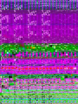 4n4l1zz4m1 online show from November 11, 1:50 pm