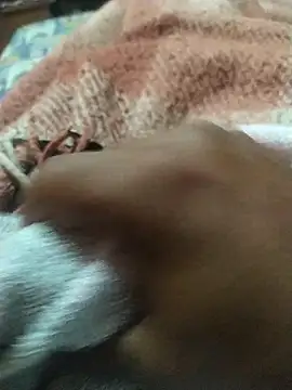 Jhjhipo online show from November 21, 11:04 pm