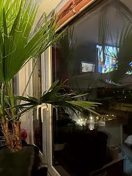 pillepallex84x online show from January 9, 4:47 pm