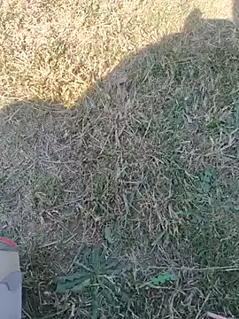 Snapshot of Gururonny07 chatting on February 12, 7:44 am Gururonny07 online show from February 12, 7:44 am