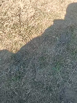 Snapshot of Gururonny07 chatting on February 13, 7:24 am Gururonny07 online show from February 13, 7:24 am