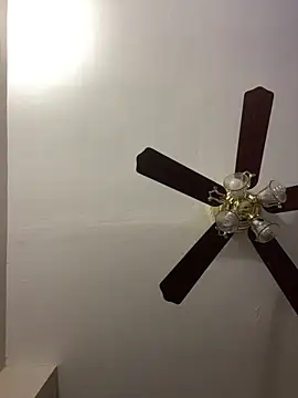 islandvybee55 online show from April 15, 11:59 am