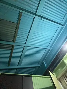 islandvybee55 online show from January 8, 7:58 am