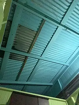 islandvybee55 online show from January 11, 9:16 am