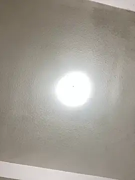 islandvybee55 online show from January 22, 1:10 am