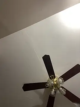 islandvybee55 online show from March 20, 2:07 pm