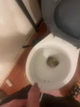 jobart-off online show from January 18, 11:02 am