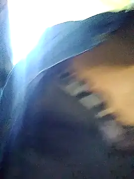 TransCya2024 online show from November 7, 3:38 pm