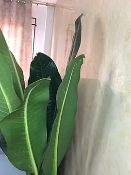 EmmaRossem online show from March 31, 7:38 pm